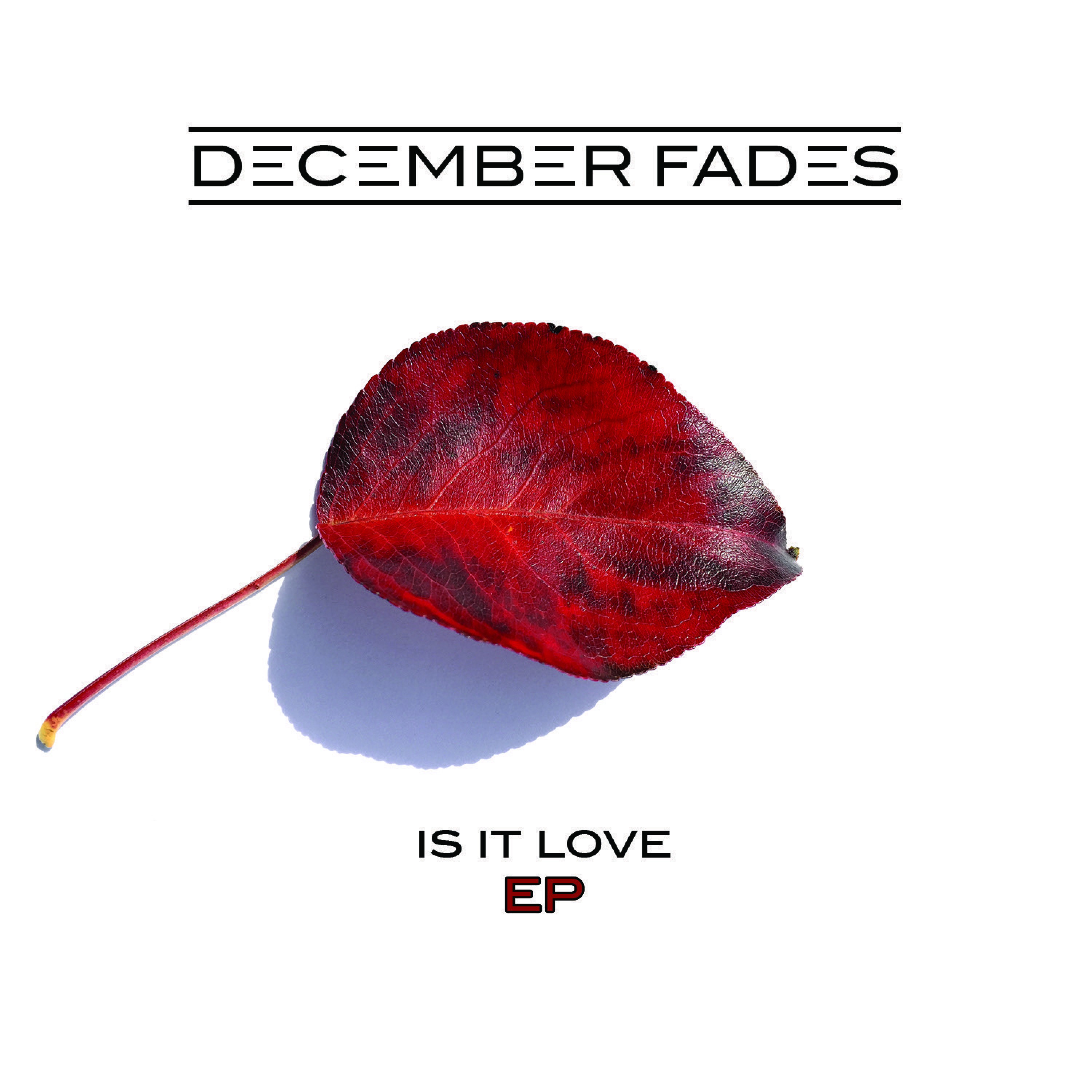 December Fades