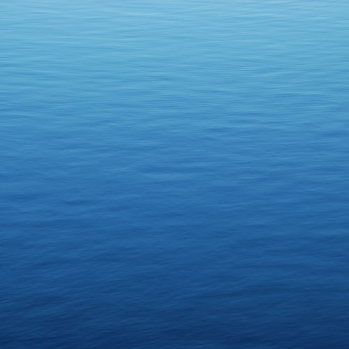 The Blue Drip